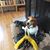 Mary Amarante's profile image