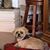 Barbara Barnes's profile image