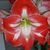 Katia Schuster's profile image