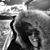 Rita Grau's profile image