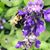 Serenity Murtagh's profile image