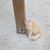 Regina Simoni's profile image