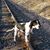 Deb Shaffer's profile image