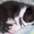 Candice Mae Klasen's profile image