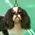 Richard A. Caldwell's profile image
