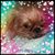Amy Reynolds's profile image