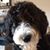 Michele Porter's profile image