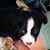Christy Nash Shoemake's profile image