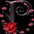 Patti Pitcher's profile image