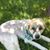 Mary L'Esperance's profile image