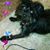 Vicki White's profile image