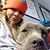 Sascha Watts's profile image