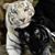 Tammy Beckley's profile image
