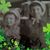 Patricia Issa's profile image