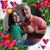 Rodney Chevalier's profile image