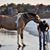 Denise Laurion's profile image