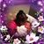 Ashley Cornner Safford's profile image