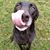 Patti Clark Wild's profile image