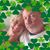 Tammy Pruitt Wieman's profile image