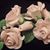 Rosa Martinez's profile image