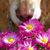 Pauda's Posey's's profile image