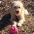 Marc Kolbycom's profile image