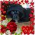 Jenn Clem's profile image