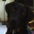 Jean Weber Ouellette's profile image