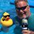 Gary Mott's profile image