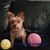 Kim Baker Boatman's profile image
