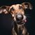 Austin Taber's profile image