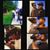 Antoine Wright's profile image