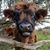 Mary Bell's profile image