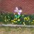 Angie Paschall's profile image