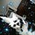Patty Soltis's profile image