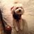 Deb Amundson's profile image