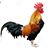 Javier Garza Perez's profile image