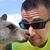 Mihai Gheorghe's profile image