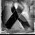Isabel Y Cesar Angulo's profile image