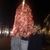 Andrew Ardo's profile image