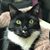 Lisa Wratchford's profile image