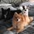 Renee Dansereau's profile image
