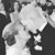 Miranda Vance Cope's profile image