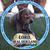 Gwen Luckey's profile image
