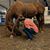 Loretta Mitchell Fritts's profile image