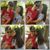 Jonathan N Claudia's profile image