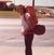 Scott Maidment's profile image