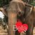 Gail Bowers's profile image