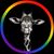Jenny Salestrom's profile image