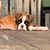 Marybeth Dillman's profile image